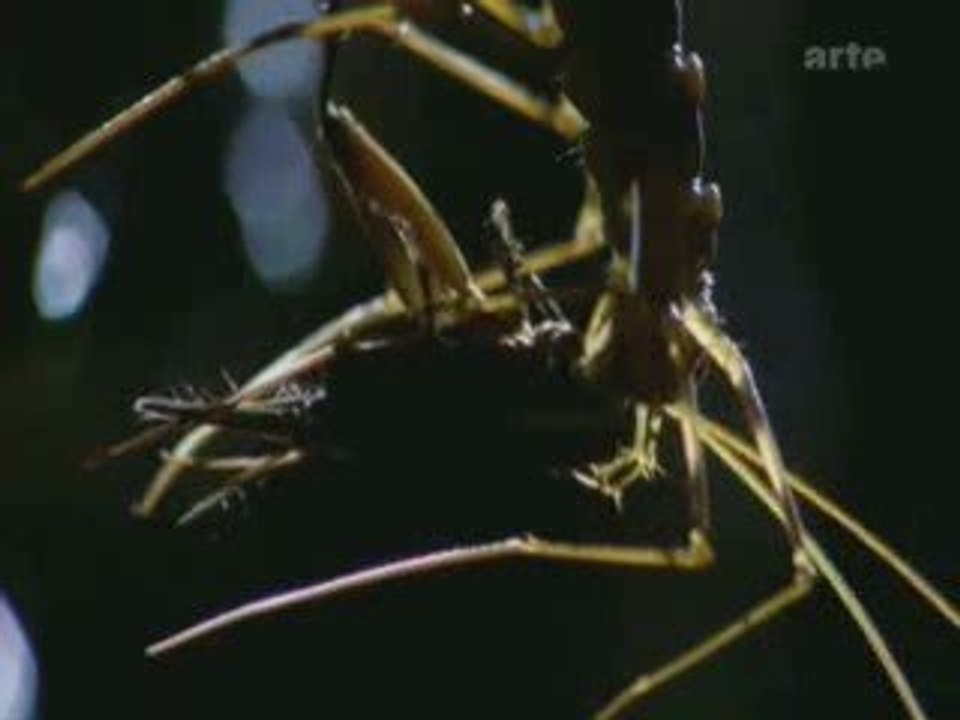 spiritualité.... 1sur2 conscience inconscience ....