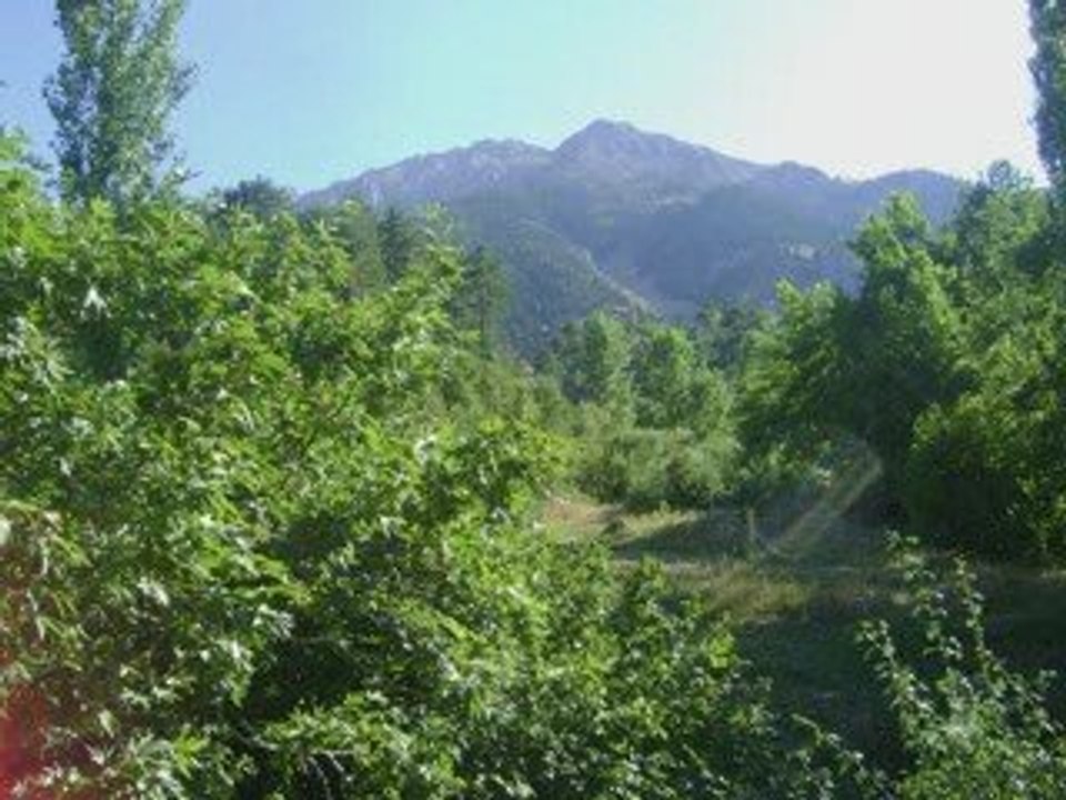 tekir yaylası1(HAKAN YÜKSEL)