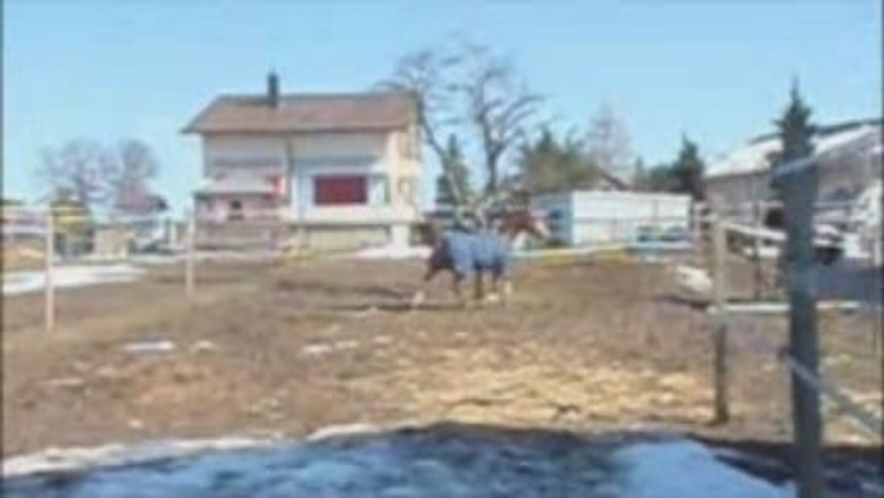 Passion Platière - 1 année de bonheur