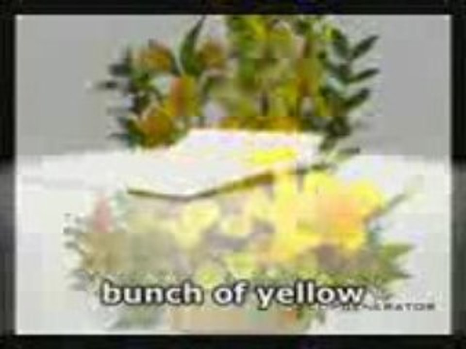 Three color roses_mpeg4