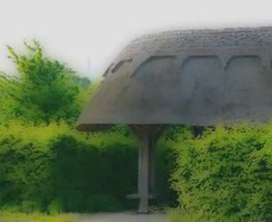 Crop Circles : Quand le hasard s'emmêle