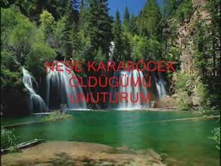 Neşe Karaböcek...Öldügümü Unuturum...yavuz959