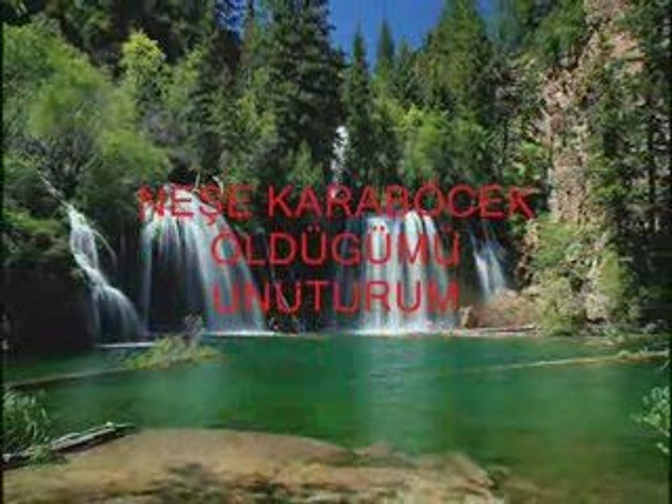 Neşe Karaböcek...Öldügümü Unuturum...yavuz959
