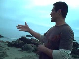 Bienvenida a mi blog y descubro atras de mi un Lobo Marino.