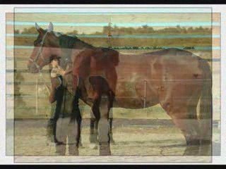 Sully, nos débuts en éthologie