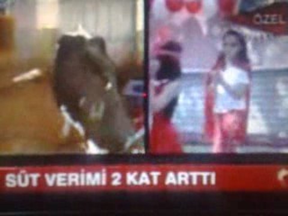 KONYA-ÇUMRA DA BULUNAN HAYVAN KREŞİ