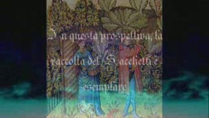 Medioevo: l'alimentazione nel Trecentonovelle