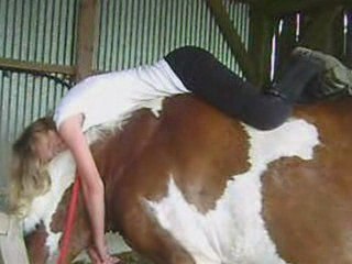 hirondelle été 2oo9