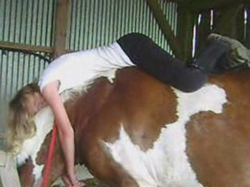 hirondelle été 2oo9