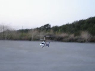 big lama par elpoulou