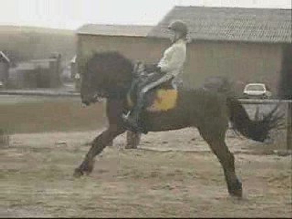 Les ecuries du payot =). ...