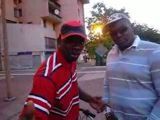 cortex au pyramides