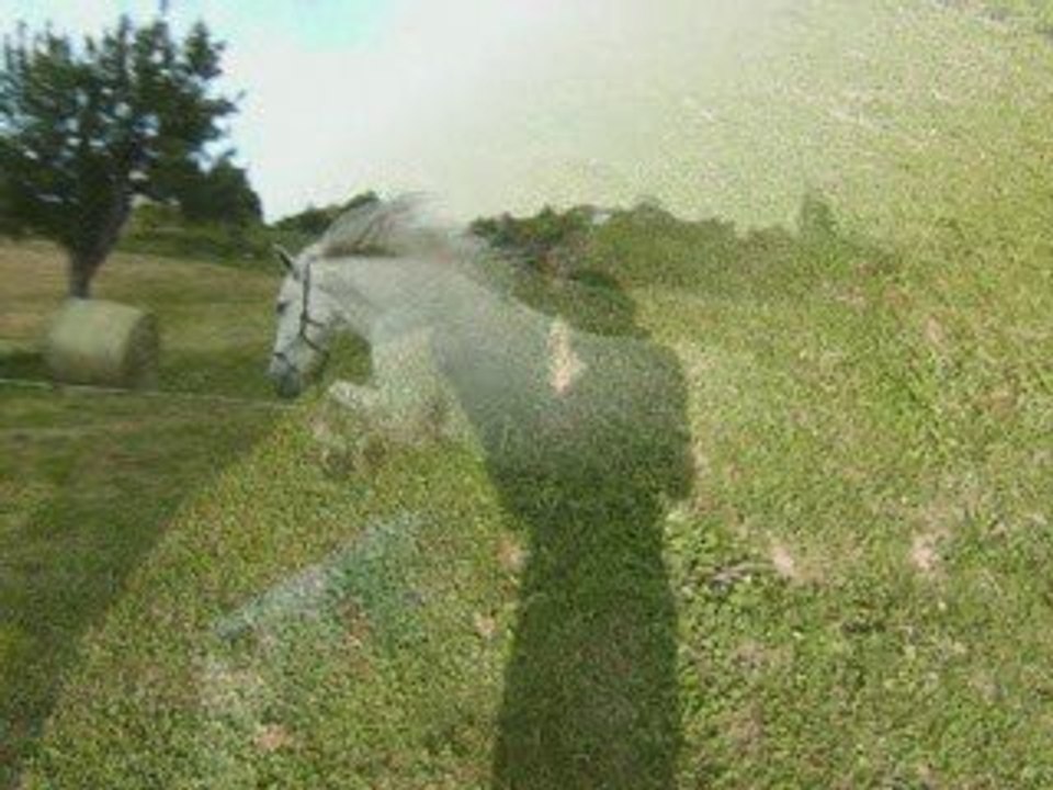 summer 2008
