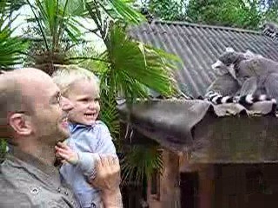 16/08/2009 - Martin rencontre des lémuriens