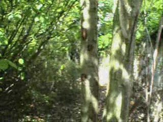 Repérage au vieux cimetière partie 3/3