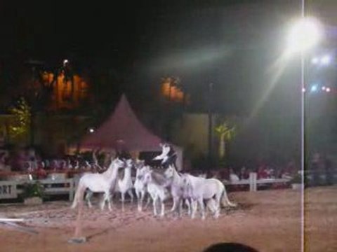lorenzo à la féria 2009 de Béziers