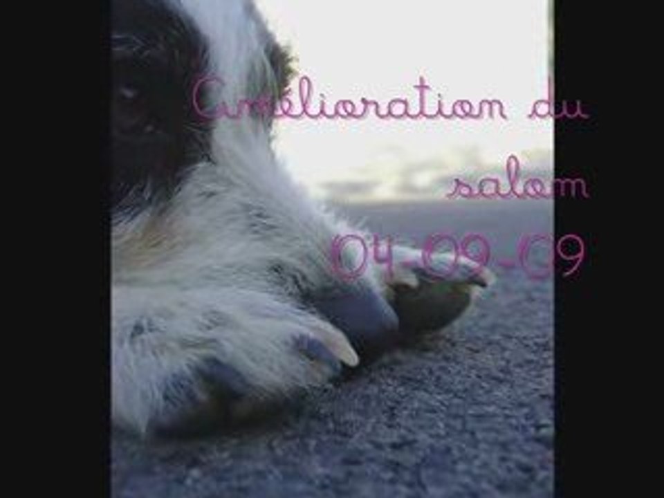 Choupa - Amélioration du slalom (OBR) - O4-O9-O9