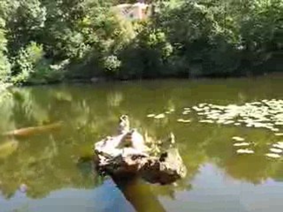 Clisson : digue