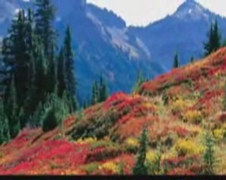 Esma'ul Hüsna-Münib Engin Noyan