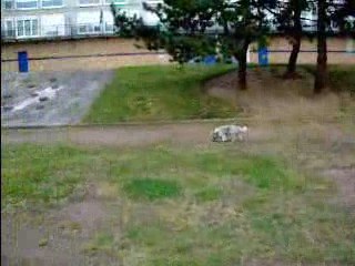 Balade de Chipie le 05 sept. 2009