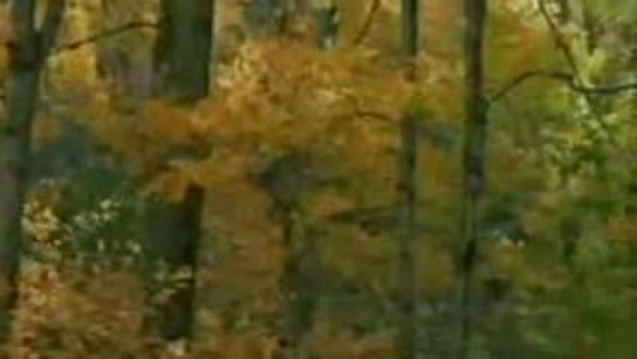 Şeytanın İtirafı 1/3