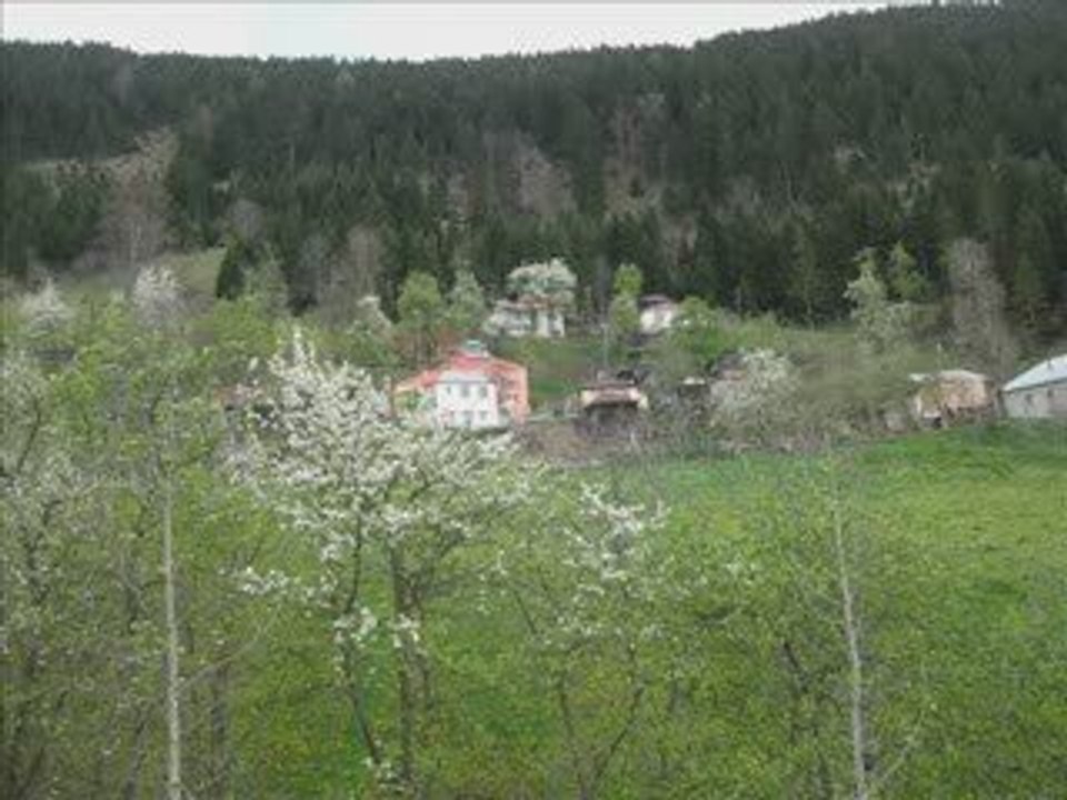 doğankaya