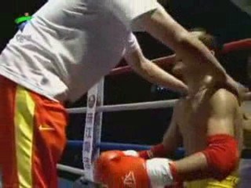 sanshou vs muay thai 1