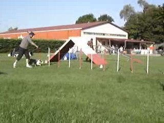 23/08/2009 Concours d'Agility