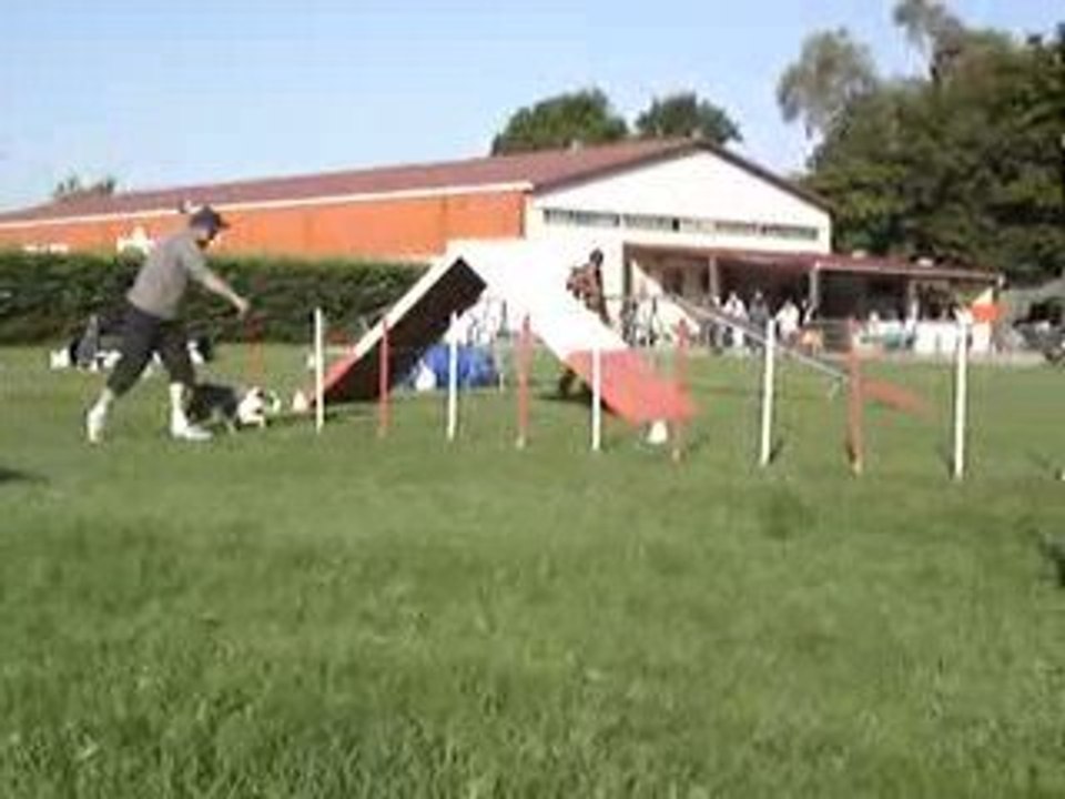 23/08/2009 Concours d'Agility