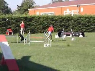 23/08/2009 Concours d'Agility