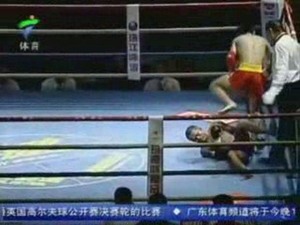 sanshou vs muay thai 2