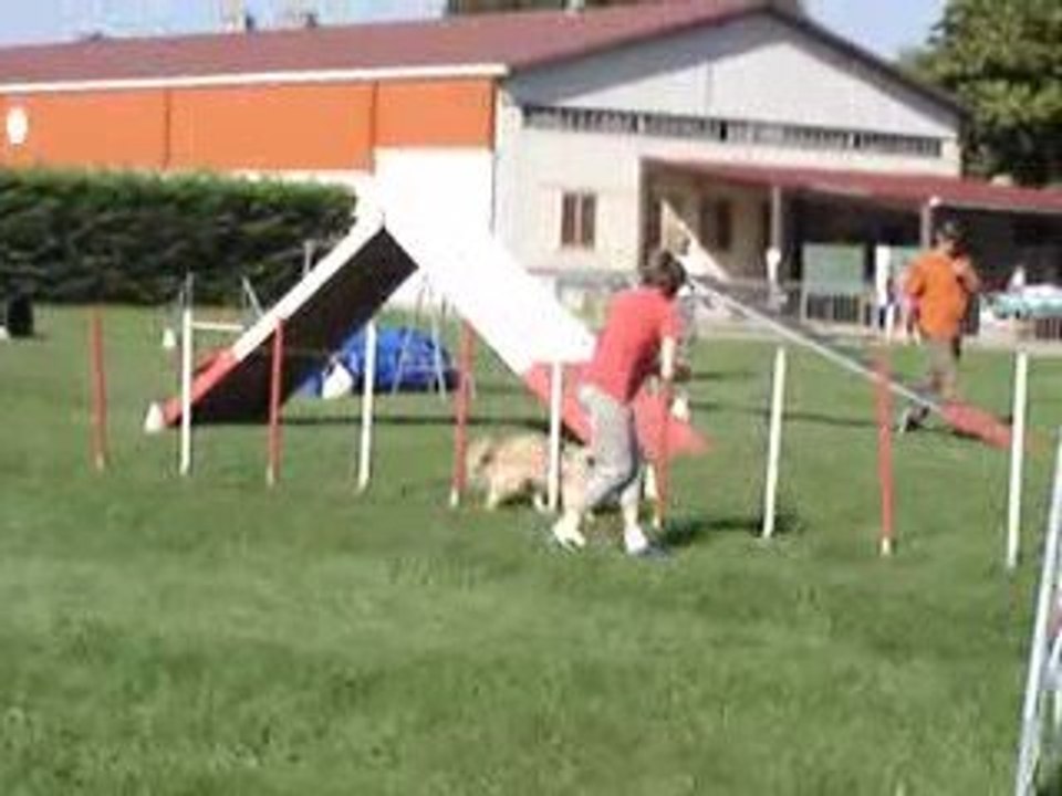23/08/2009 Concours d'Agility