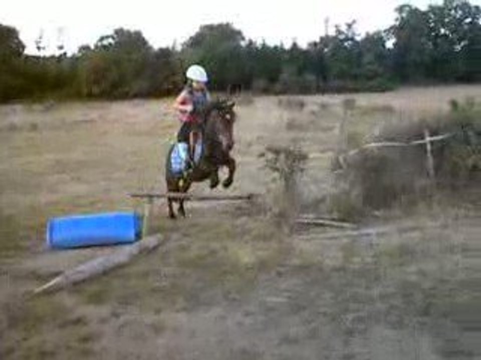 Simba saut