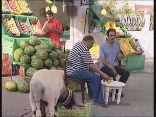 A9fass Belâ Touyour - Canal 21 - Générique & Bande Annonce