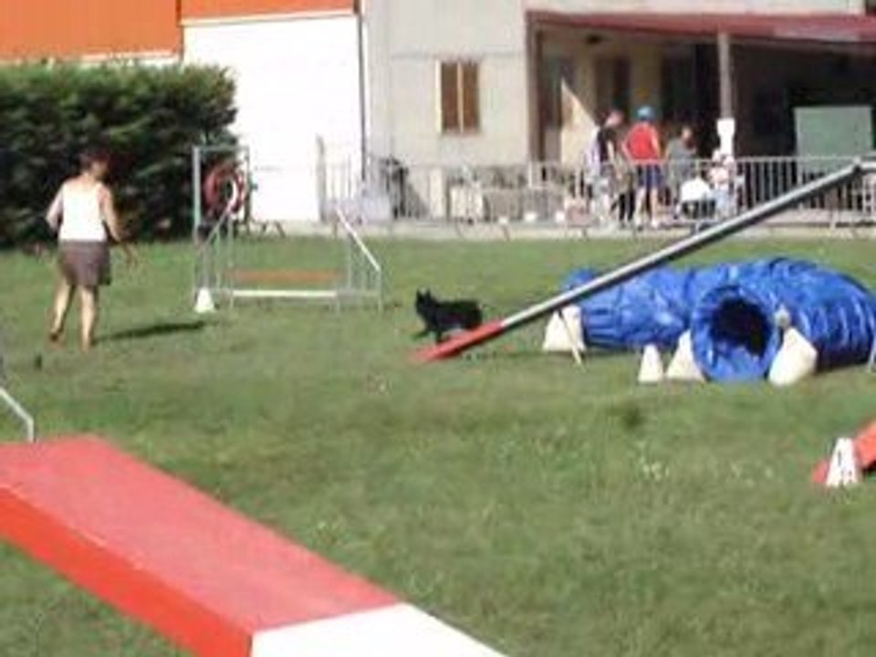 23/08/2009 Concours d'Agility