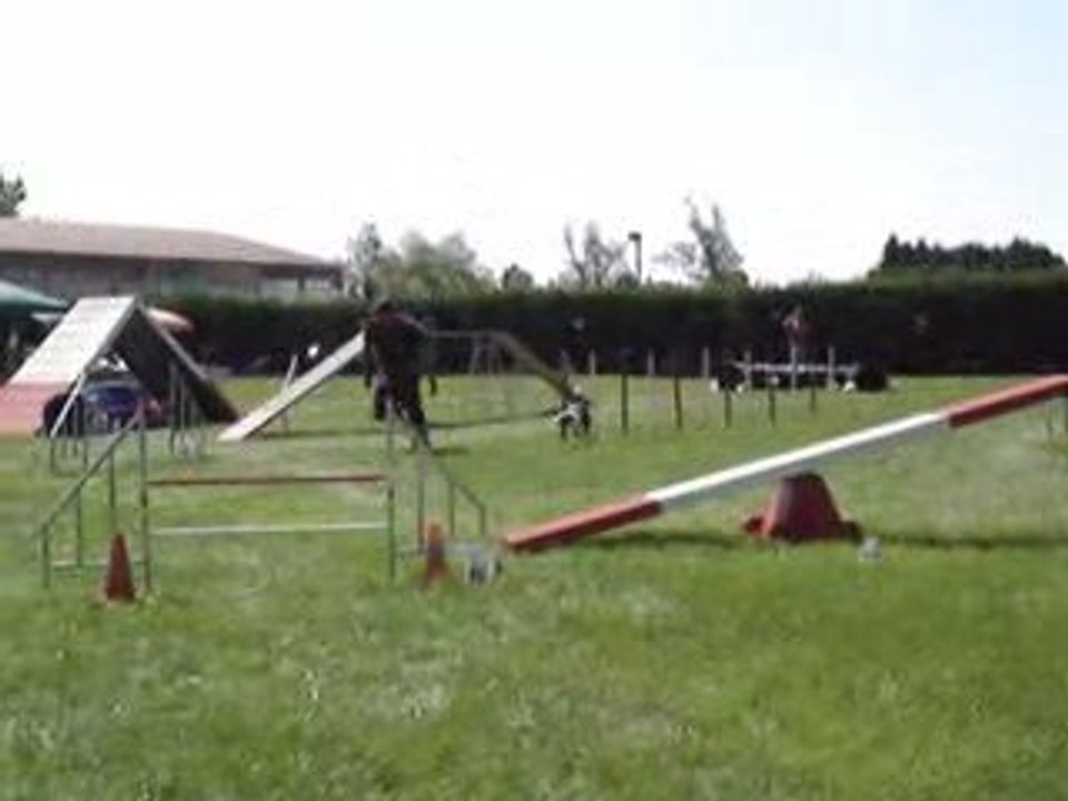 23/08/2009 Concours d'Agility