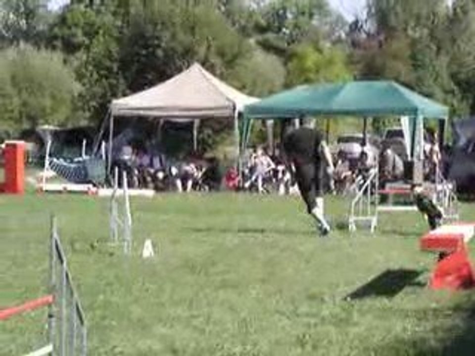 23/08/2009 Concours d'Agility