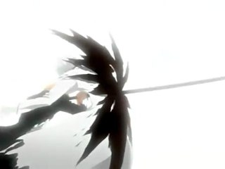 amv bleach:                what will become