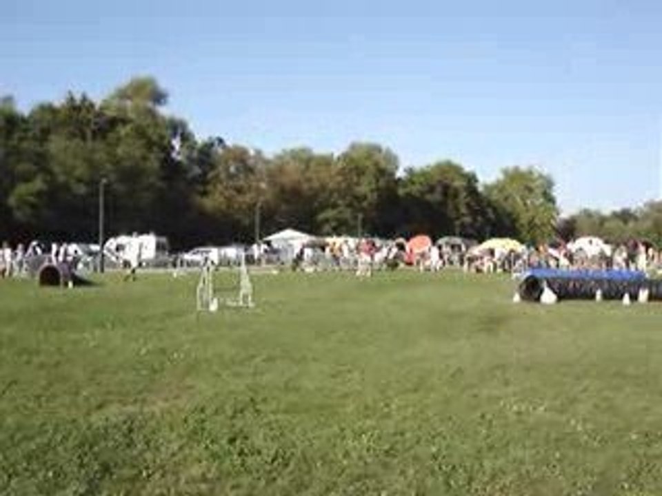 23/08/2009 Concours d'Agility