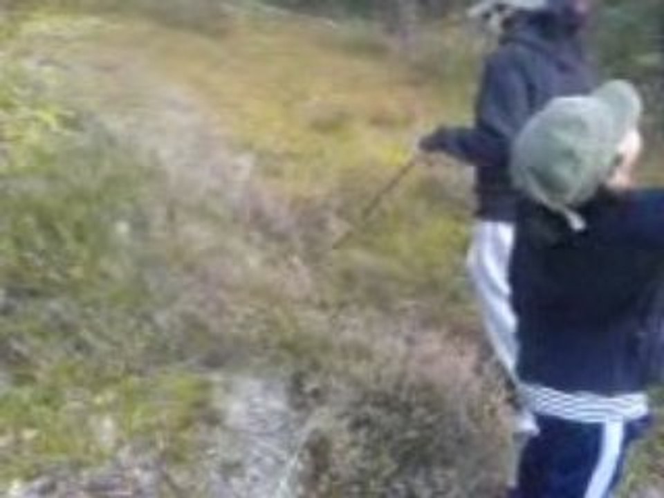 I skogen plockar blåbär 2