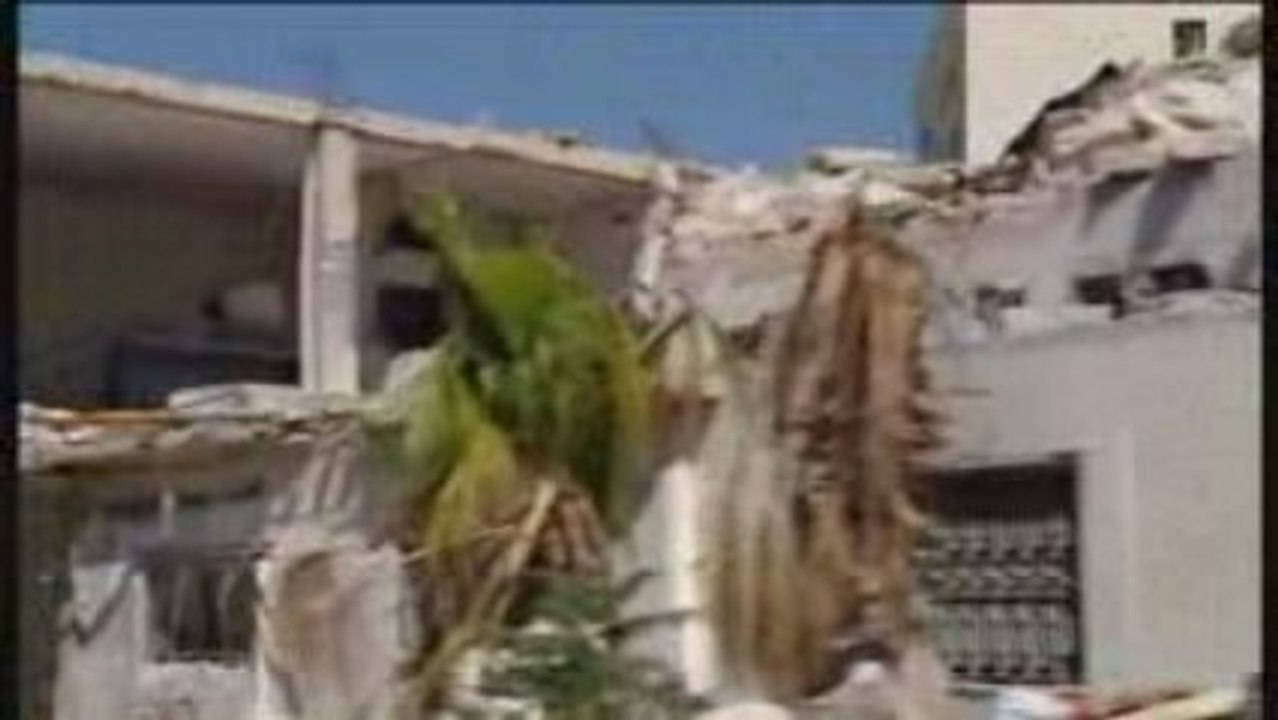 Palestine4