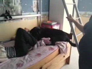 tara chien méchant !!!