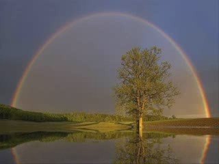 mother...(Ernesto Cortazar)