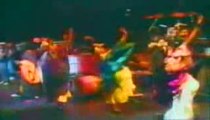 Bunny Wailer - Struggle (Live)