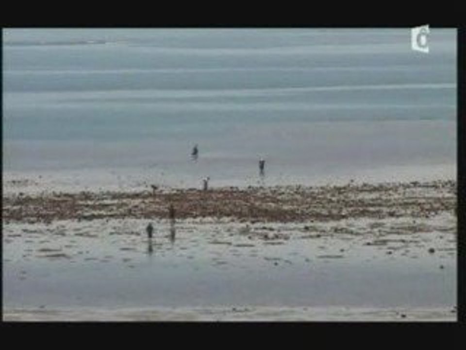 Comores. Un aller simple pour Mayotte: la françafrique 1