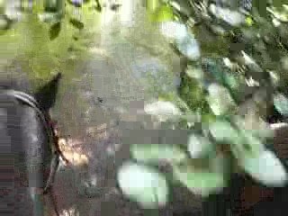 caline et moi dans l'eau ♥♥♥