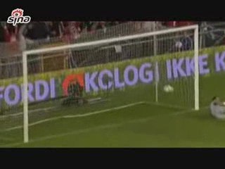 Denmark 1 -1 Portugal  Goals & Highlight 05.09.09