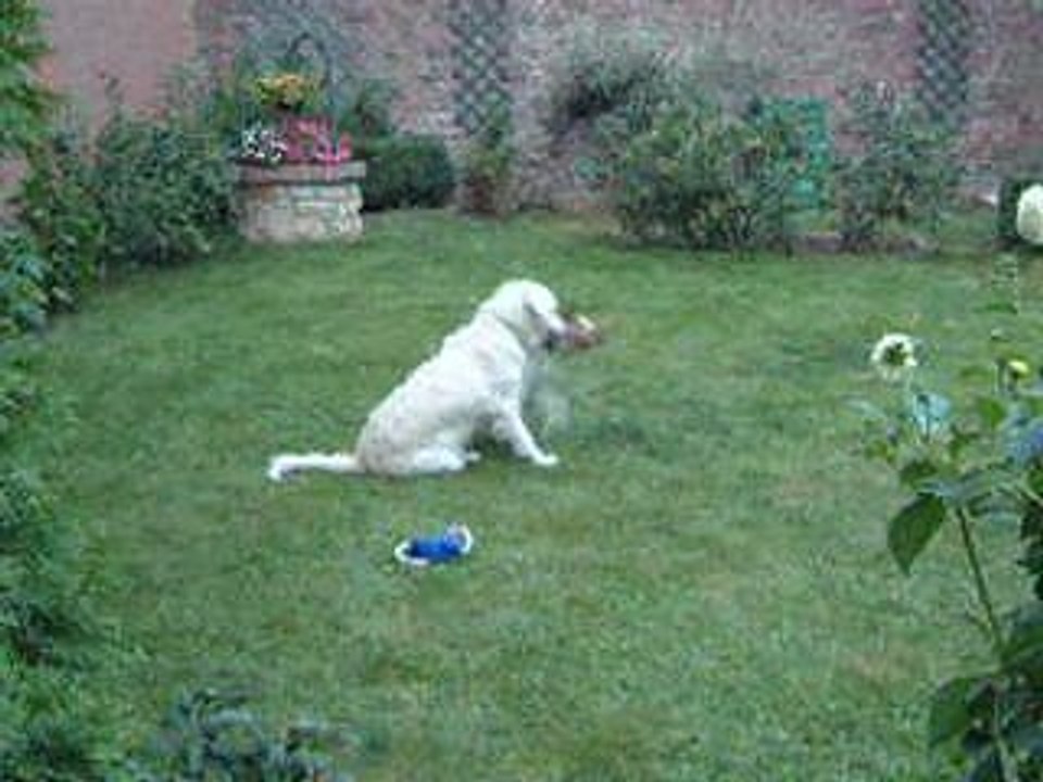 DSCF0019gigi et nini