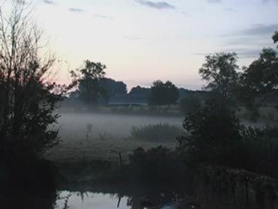 Paysage