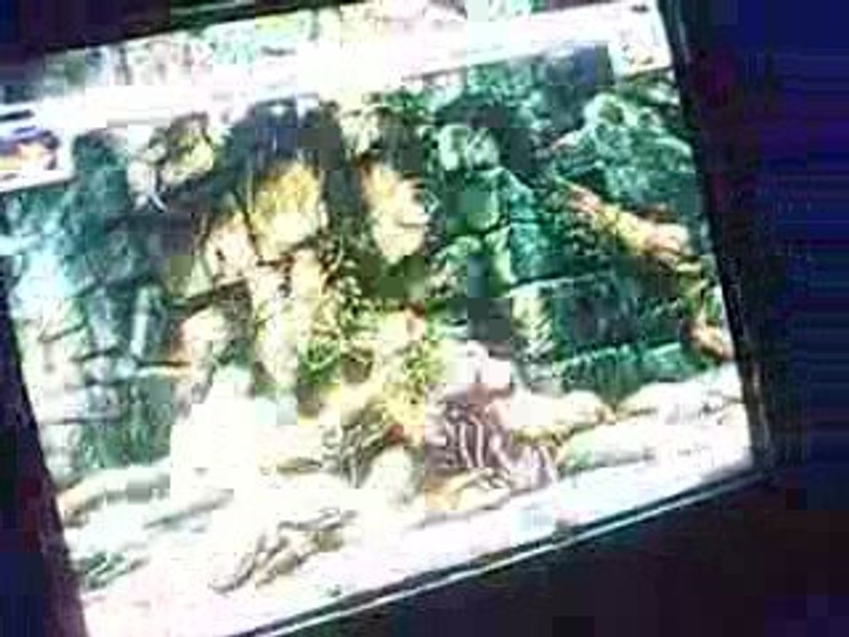 05/09/09 vs dojo 1.wnr braket niabanh (ma) vs otona (ur)